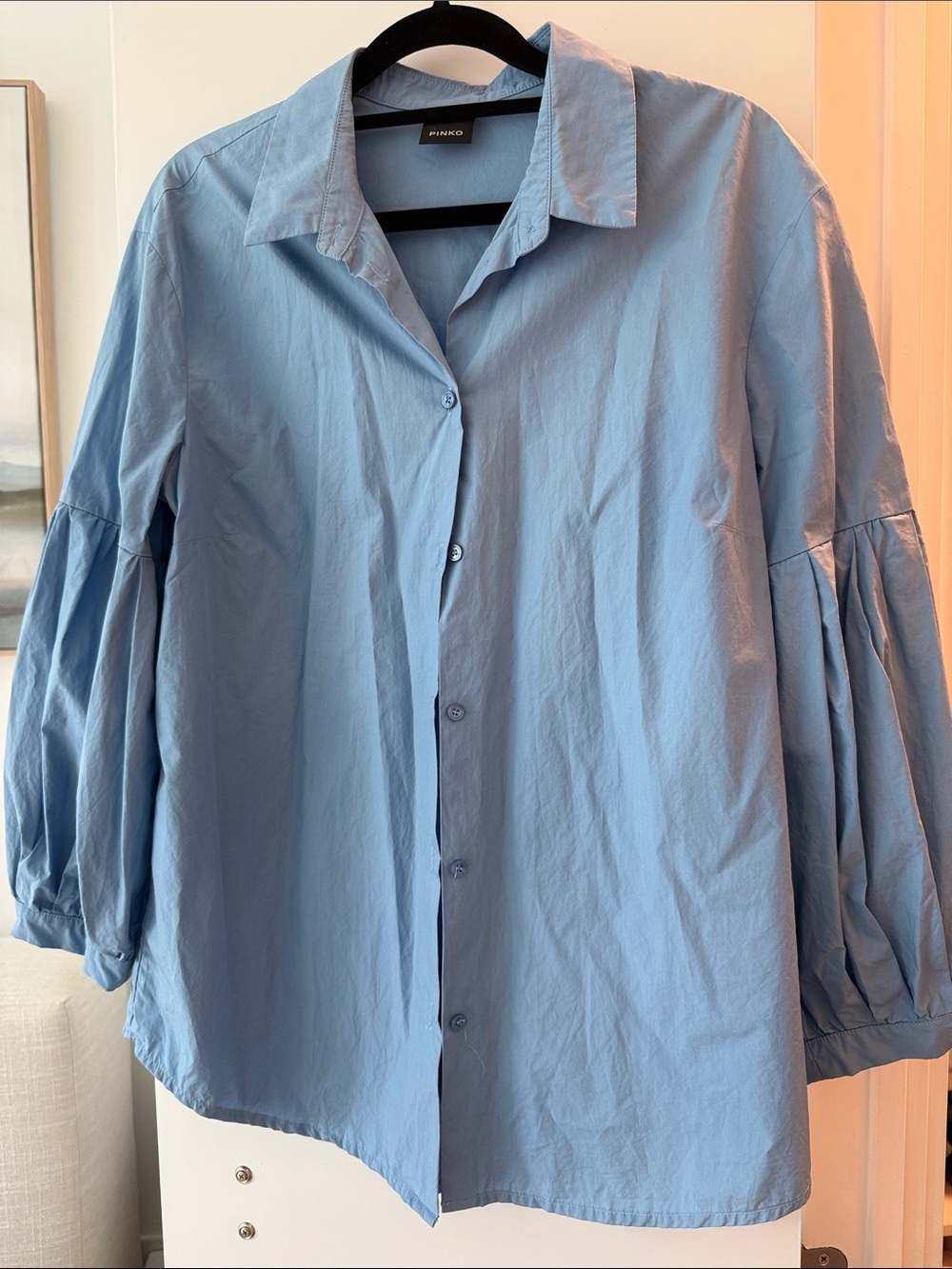 Pinko Light Blue Puff-Sleeve Tie-Waist Shirt